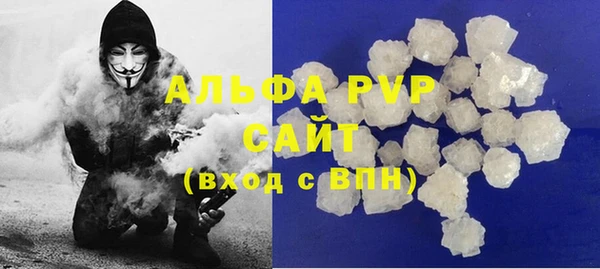 стаф Алзамай