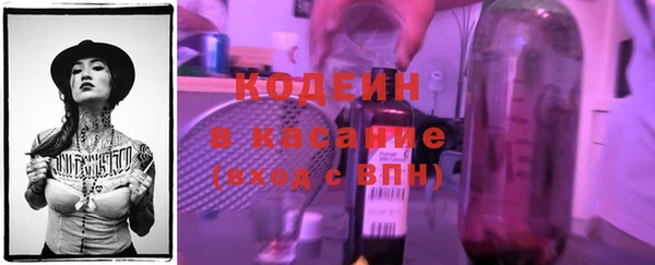 стаф Алзамай