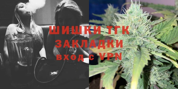 стаф Алзамай