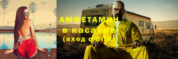 стаф Алзамай